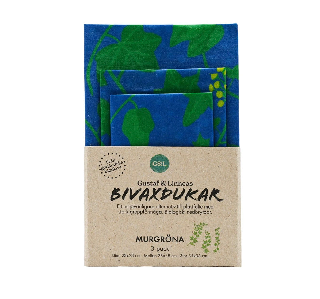 Bivaxdukar Murgröna 3-pack